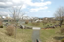 公園
