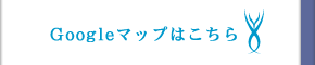 Google}bv̂p͂炩