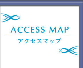 ANZX}bv